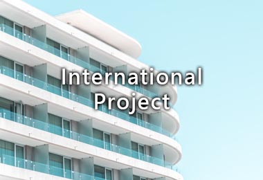 International Project